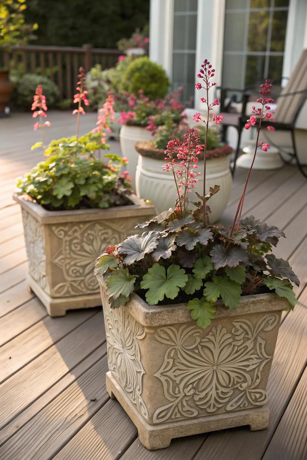 Coral bells in containers bring vibrant colors to a patio setting.
