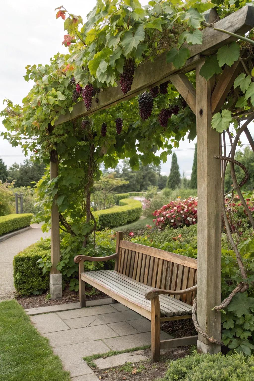 Relax and rejuvenate with integrated benches beneath a grape-laden pergola.