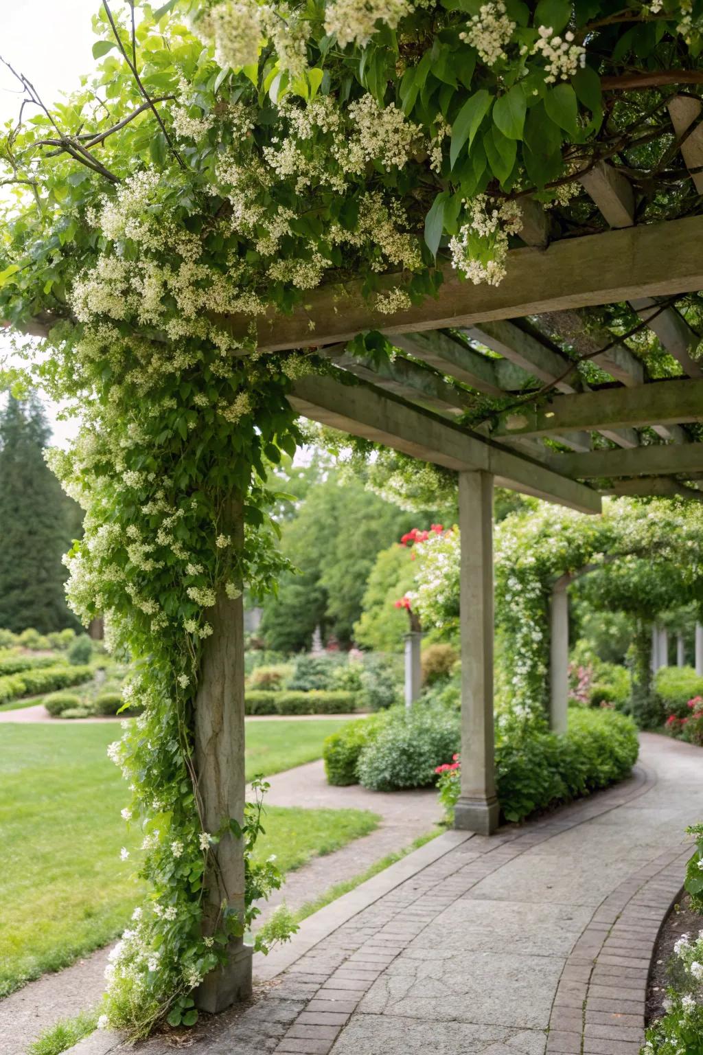 Forge a perfumed escape with star creeper-draped covered walkways.