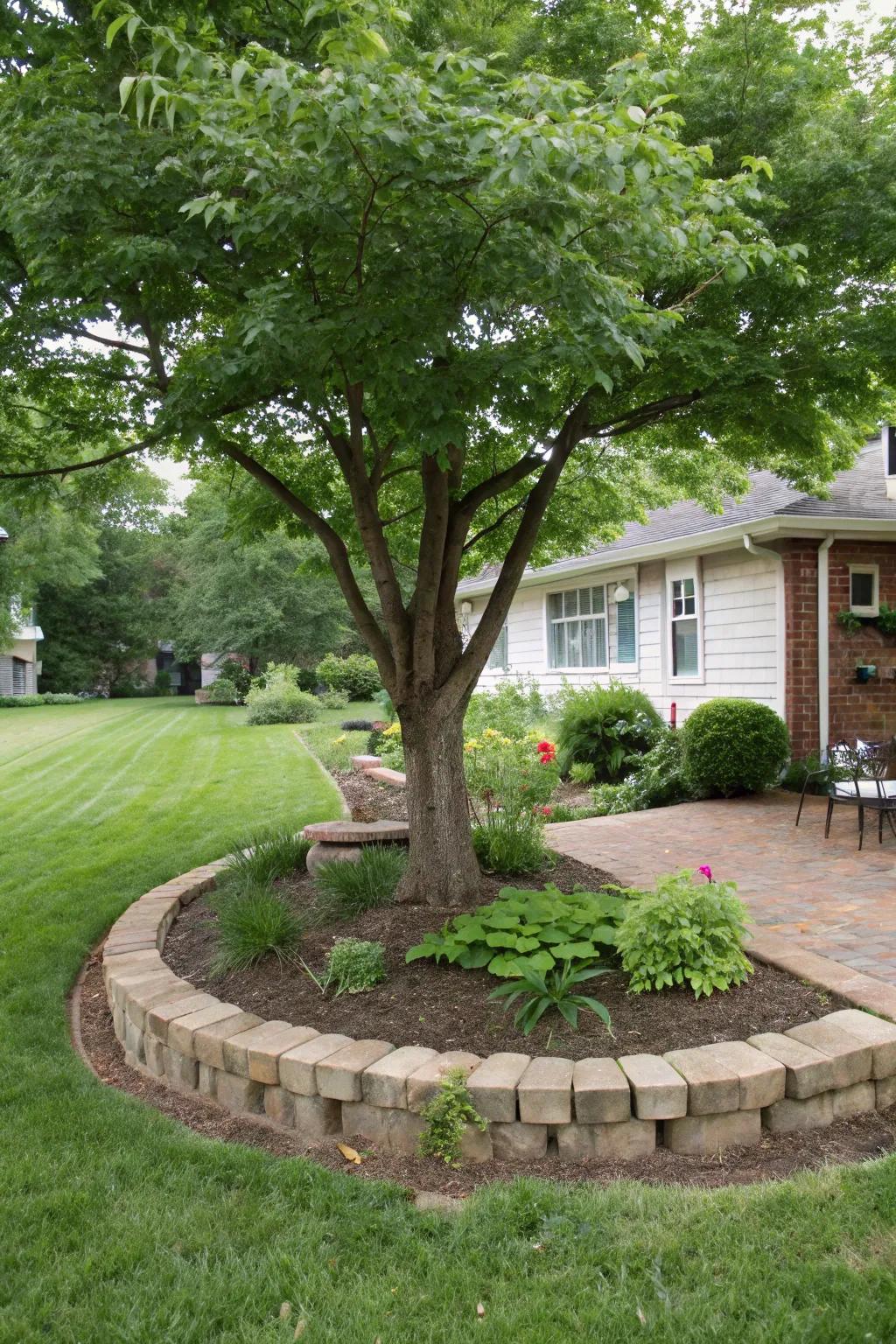 A tree with a defined border of bricks, creating a neat and structured look.
