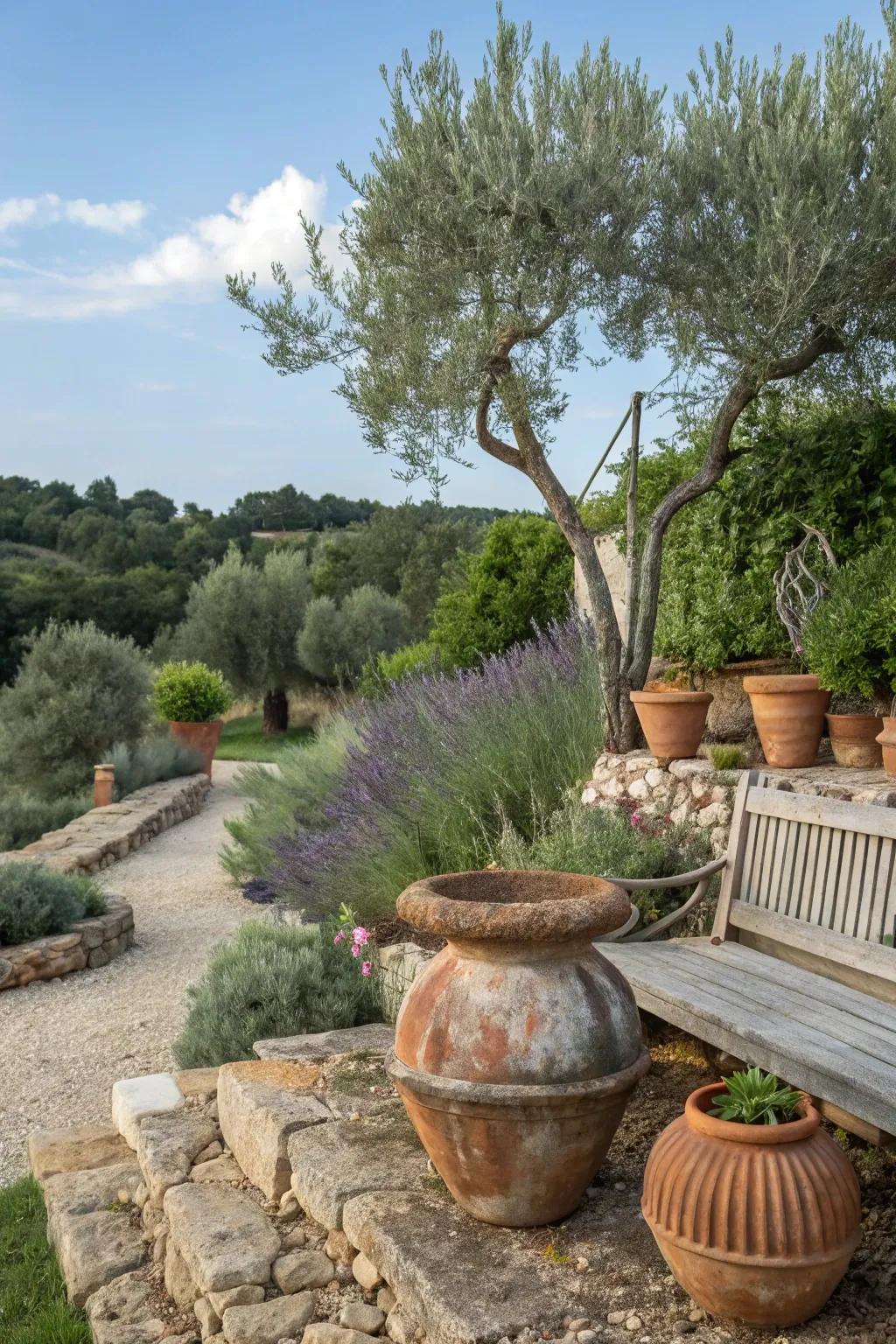 Infuse your garden with a Mediterranean essence through themed planter arrangements.