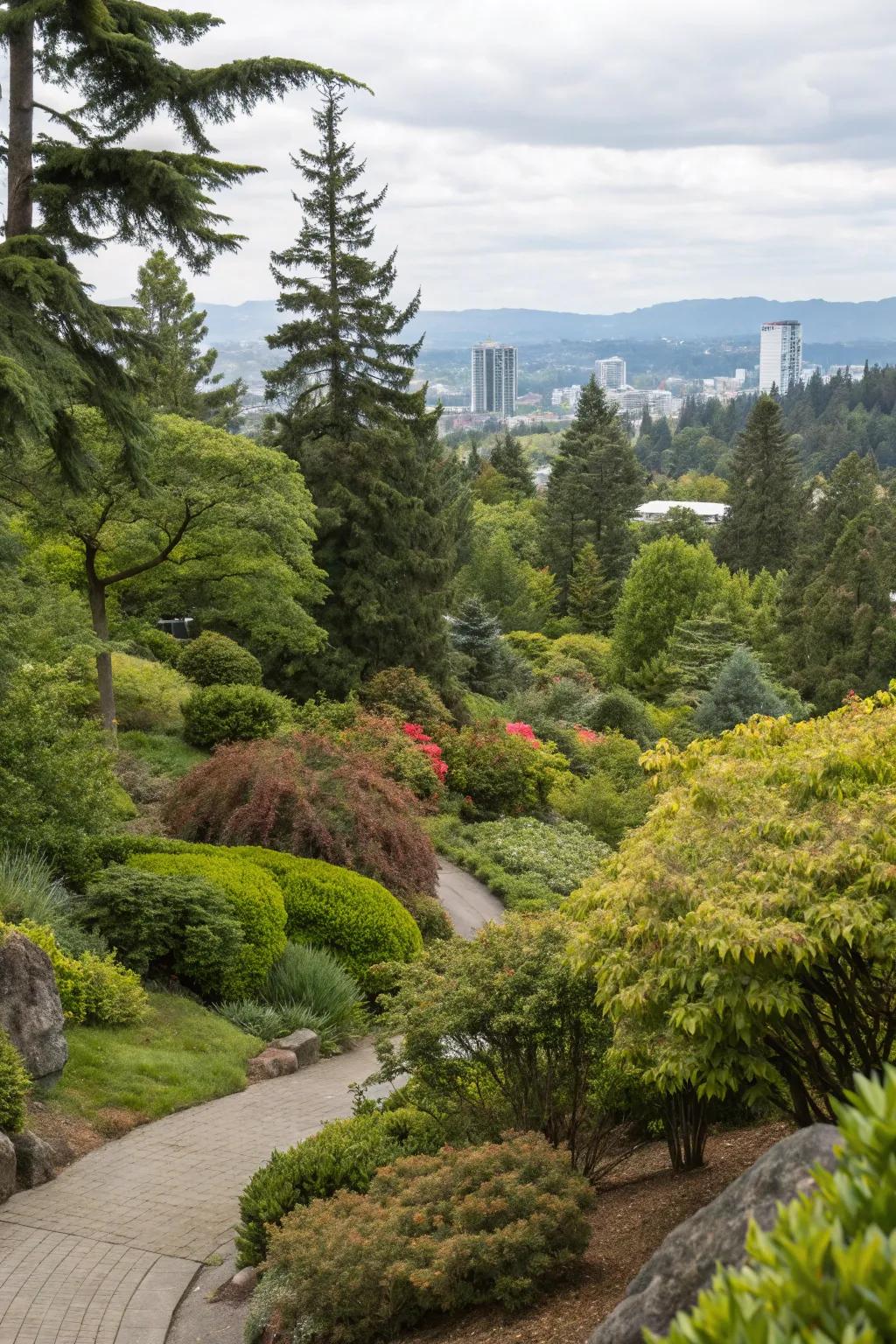 Evergreen shrubs and trees provide lasting greenery in a Portland garden.