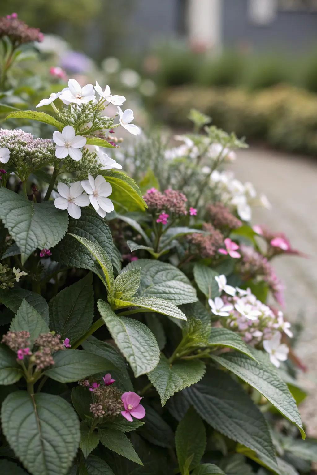 A textured flower border featuring a mix of broad leaves and delicate blooms.