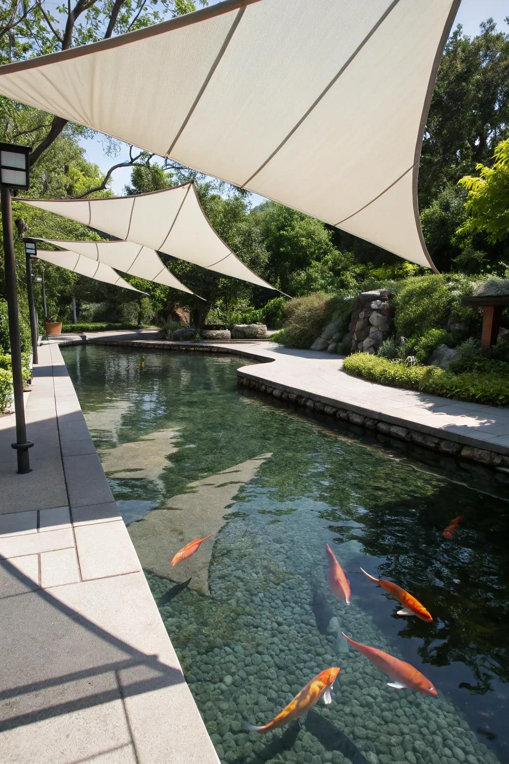 A koi pond adorned with sail shades, presenting a refined, contemporary image.