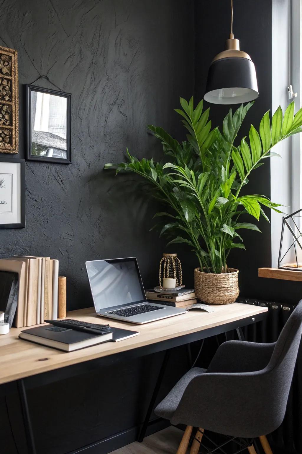 A pop of greenery enlivens this moody office setting.