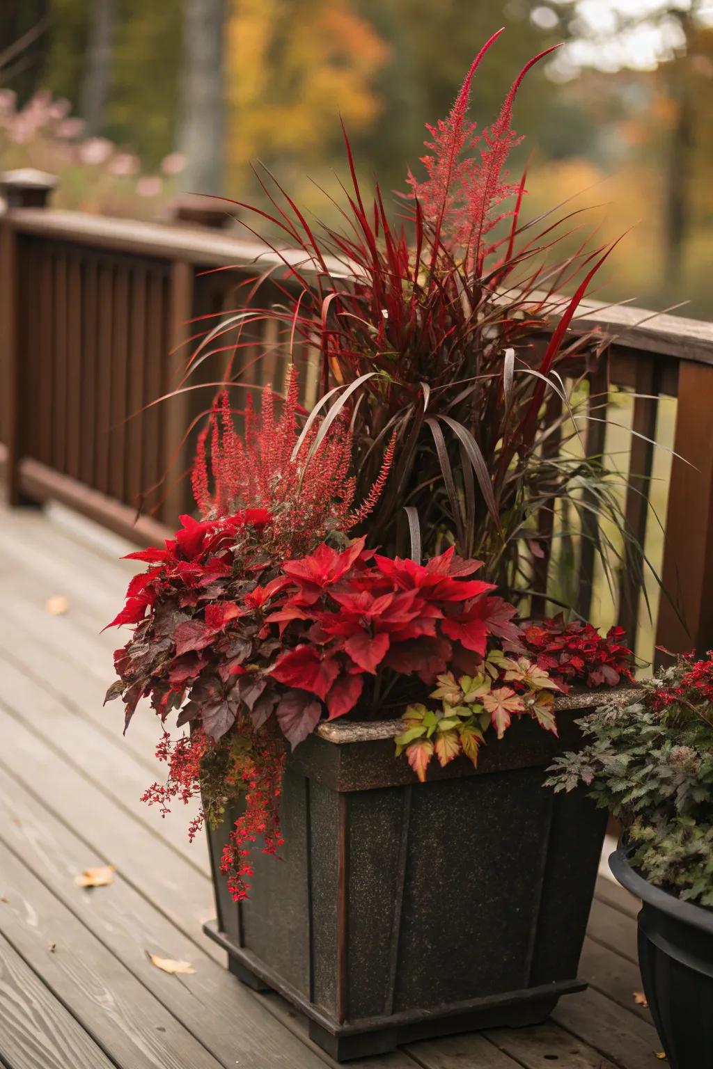 Monochromatic planters offer a modern fall aesthetic.
