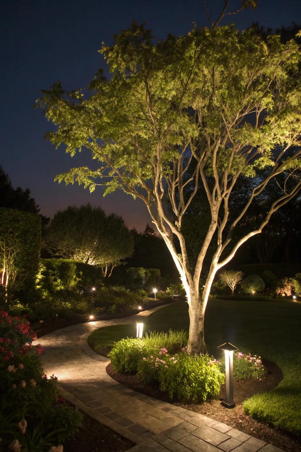 Spotlight your garden's allure with solar lights.
