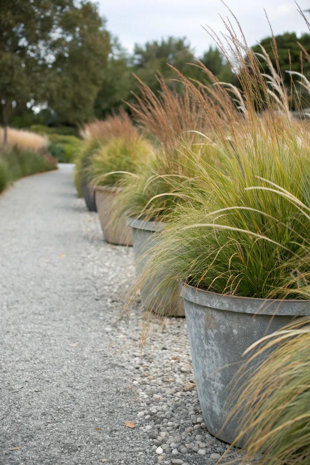 Ornamental grasses bring texture and movement to the garden.