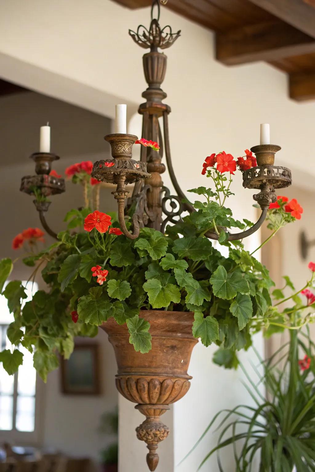 Elegance meets creativity in this lighting fixture planter.