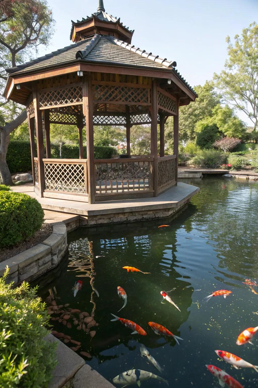 A koi pond gracefully shaded by a classic gazebo.