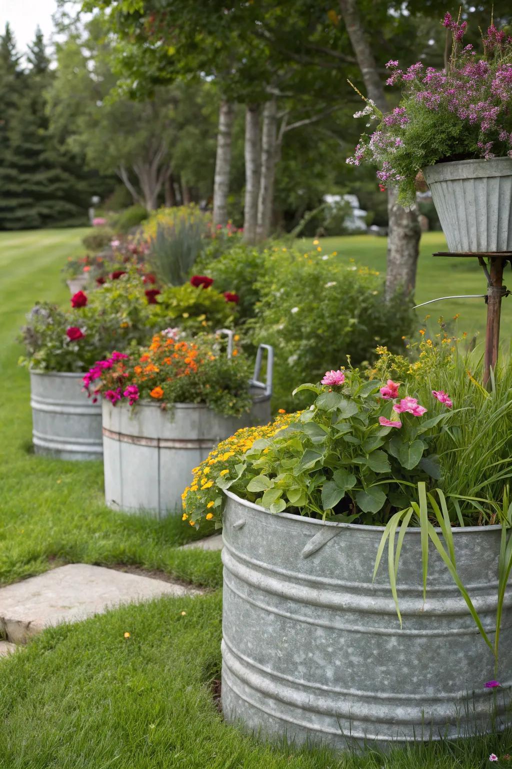 Galvanized metal containers repurposed as rustic planters.