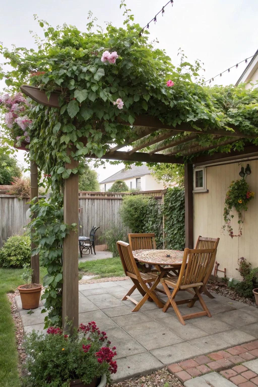 A pergola provides a shaded retreat from the midday heat.