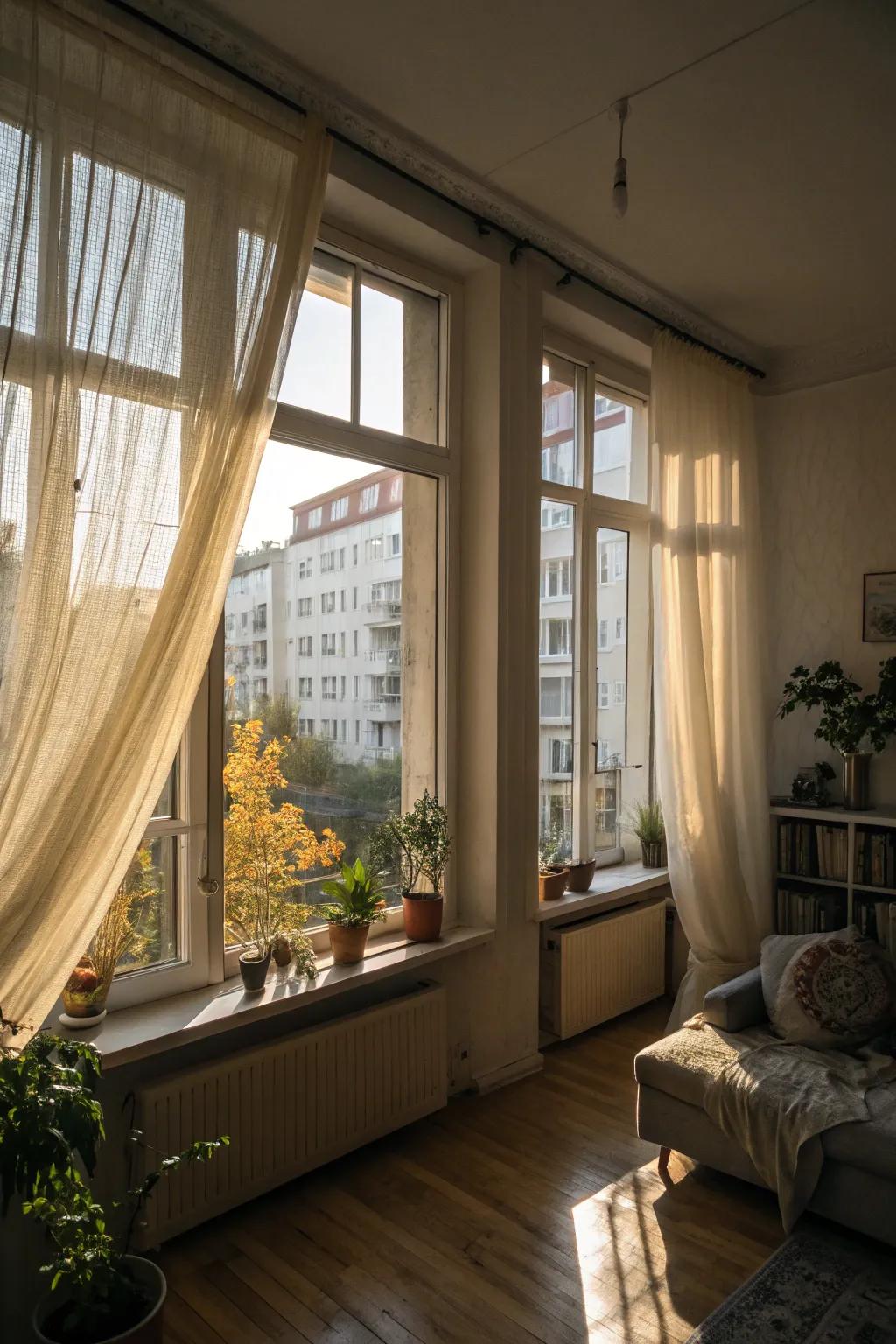 Natural light can make any apartment feel more open and inviting.