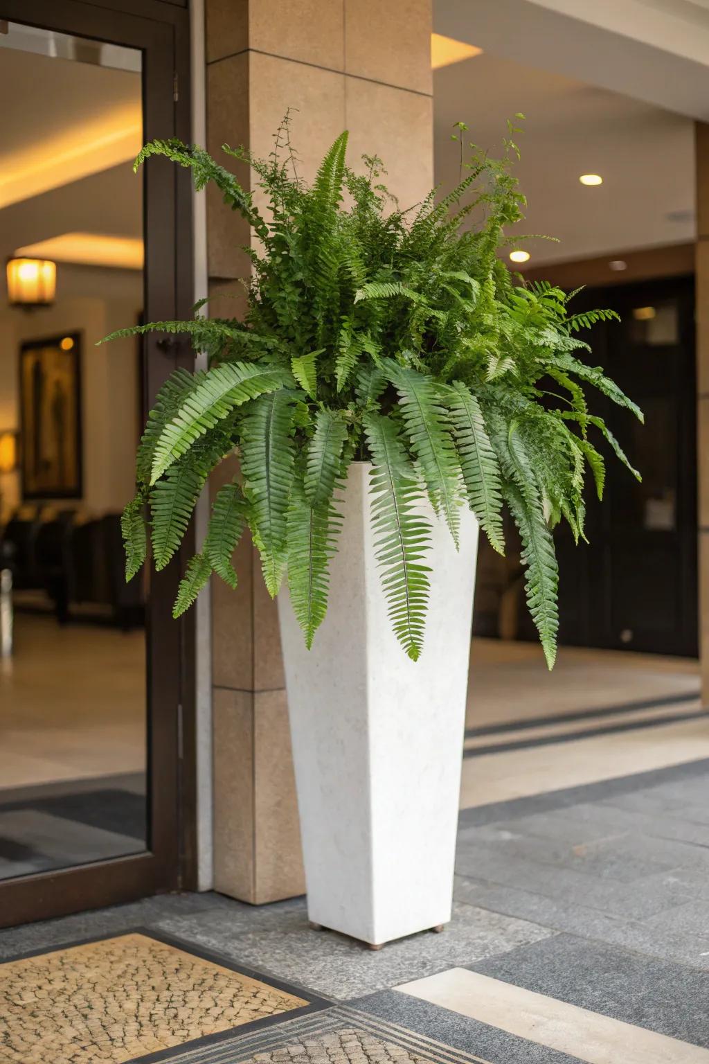 An independent showstopper has the ability to redefine any area.