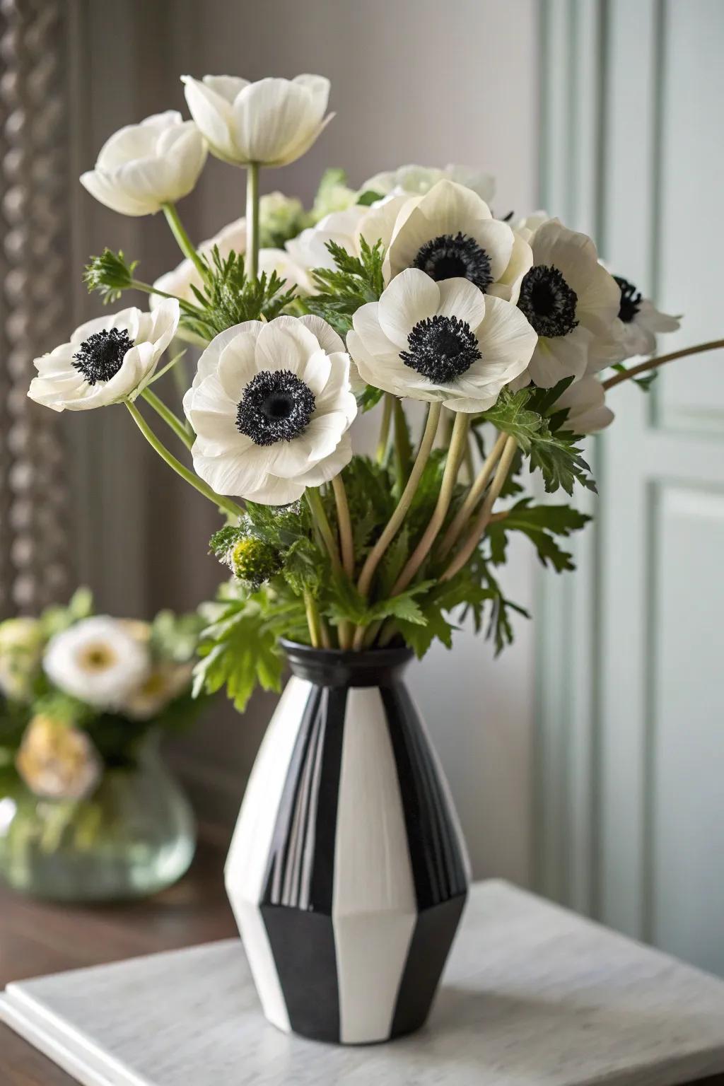 A stylish anemone arrangement with prominent monochrome features.