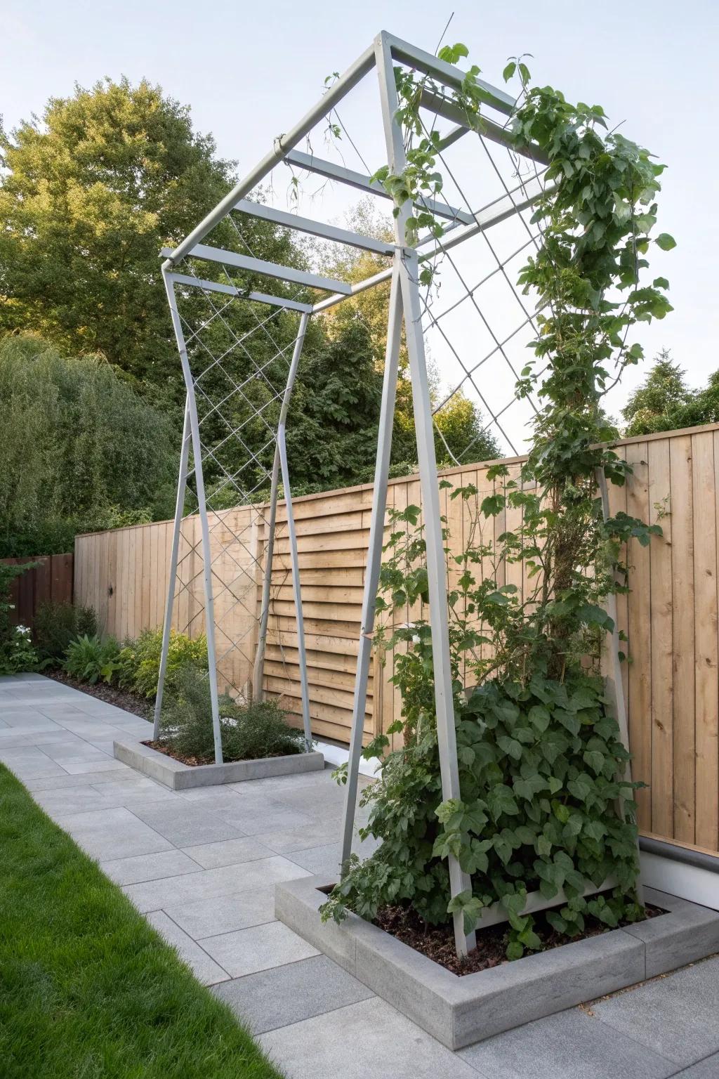 Discover the art of simplicity with this stunning tensegrity trellis, where engineering meets natural beauty.