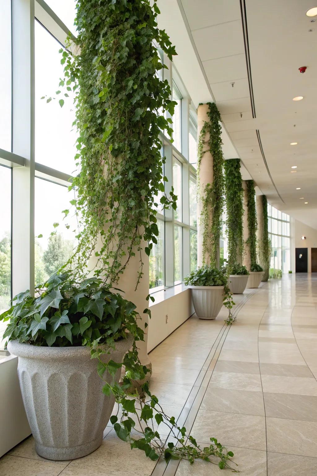 Emphasize vertical growth with trailing planters.