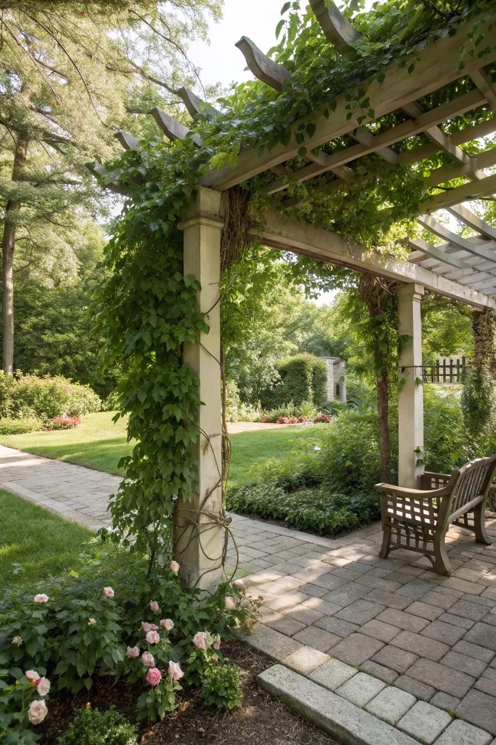 A garden alcove with climbing vines provides a shaded sanctuary.