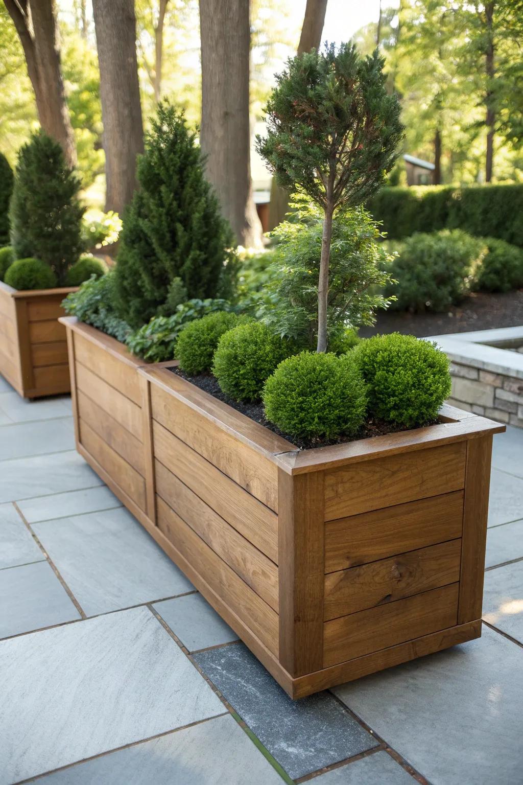 Elevate your outdoor space with the timeless elegance of shrubs and evergreens.