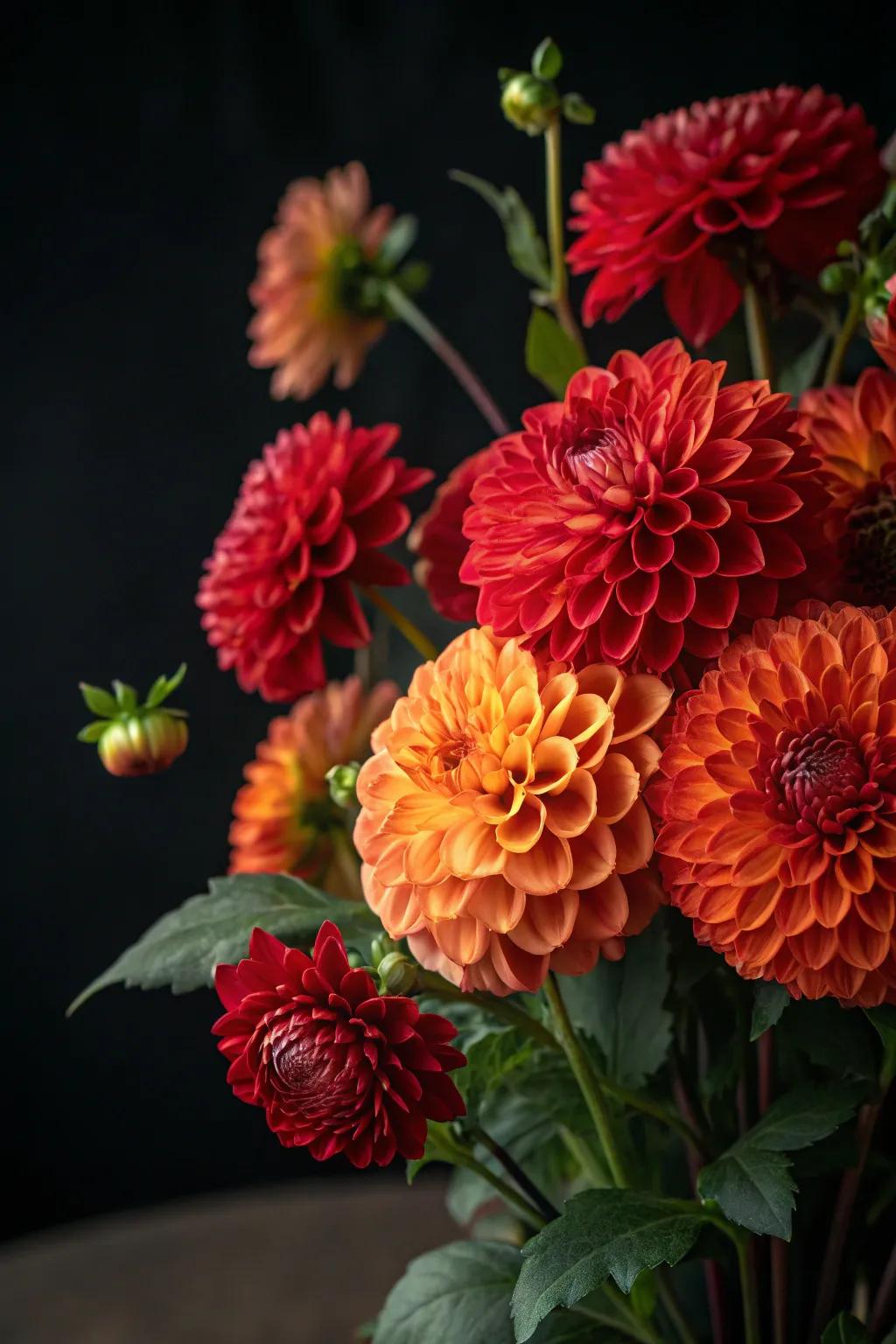 Dahlias add a bold and vibrant touch to any summer bouquet.