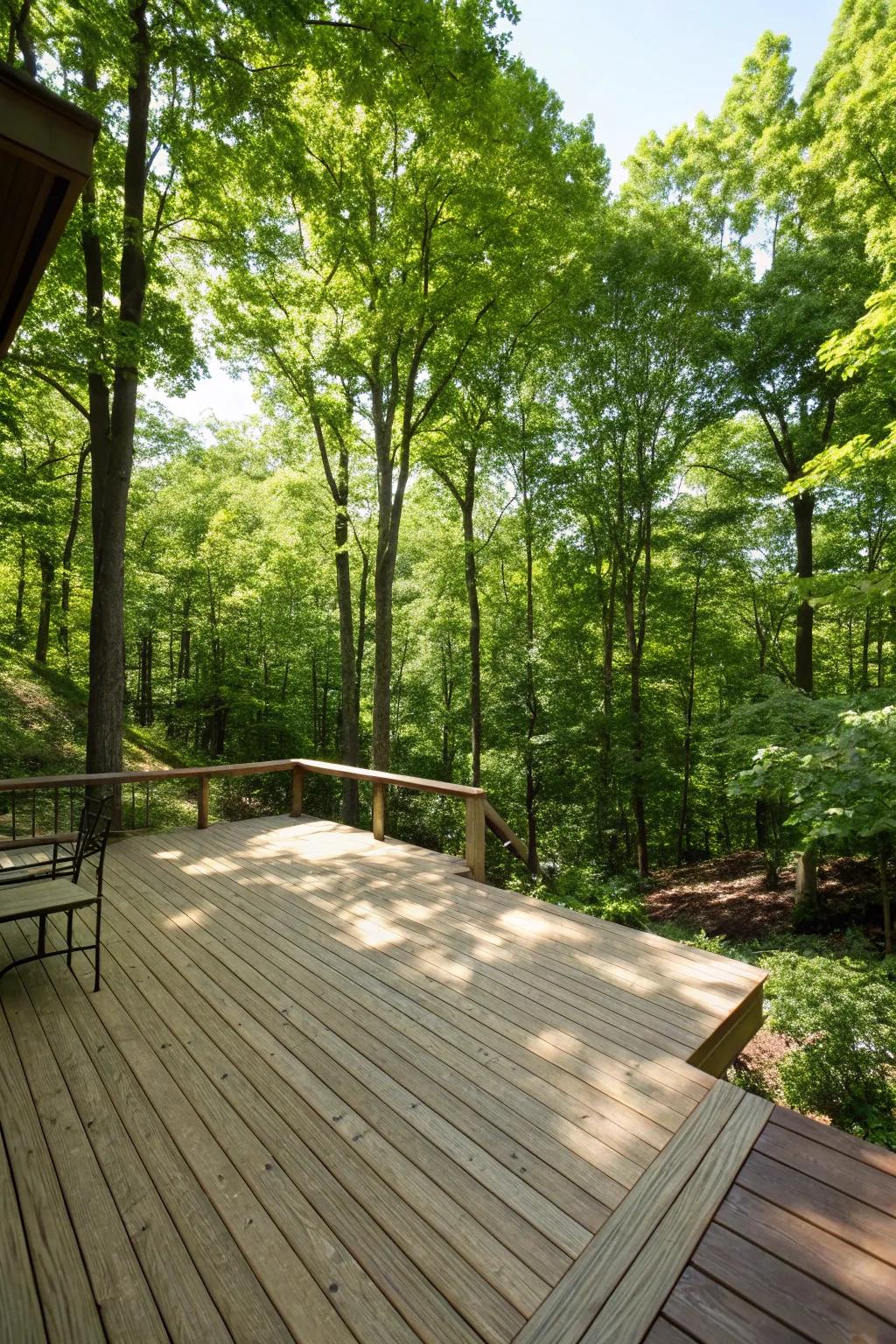 Wooden decking blends structure with nature in your backyard forest.