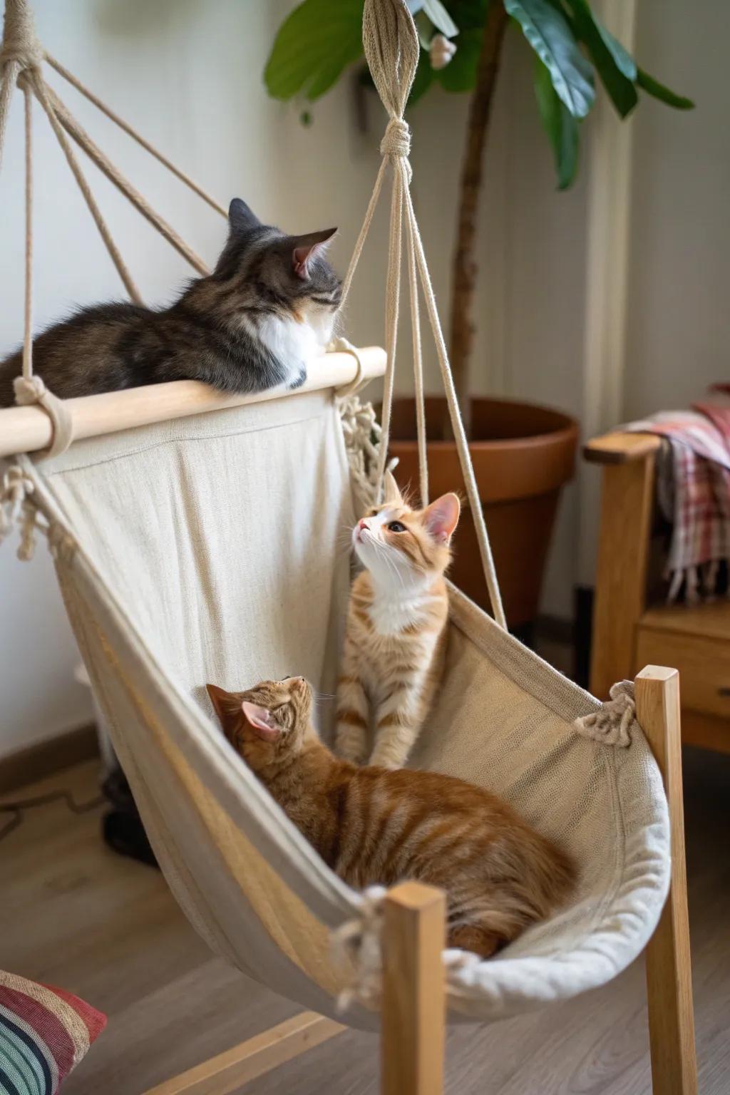 A DIY hammock under a chair, perfect for a cat's swinging lounge.