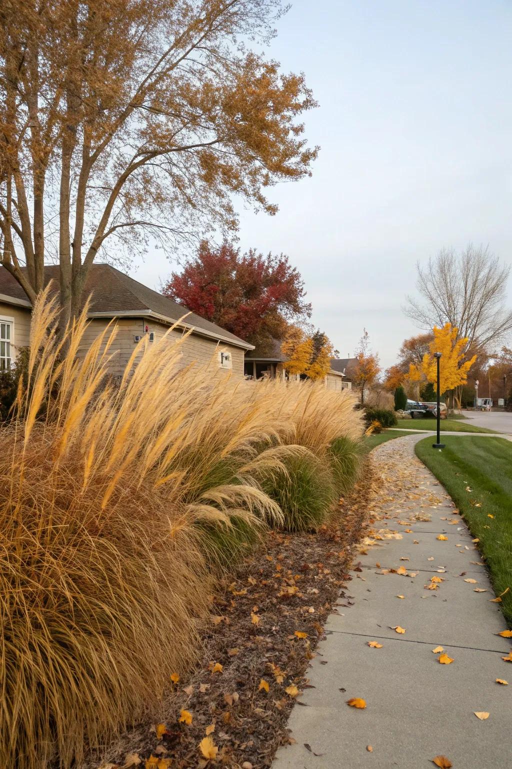 Enhance texture with ornamental grasses in your yard.
