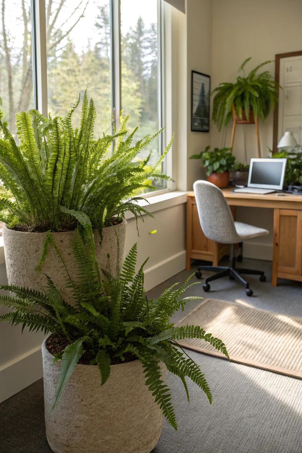 Construct a soothing corner using abundant Paws Greenery.