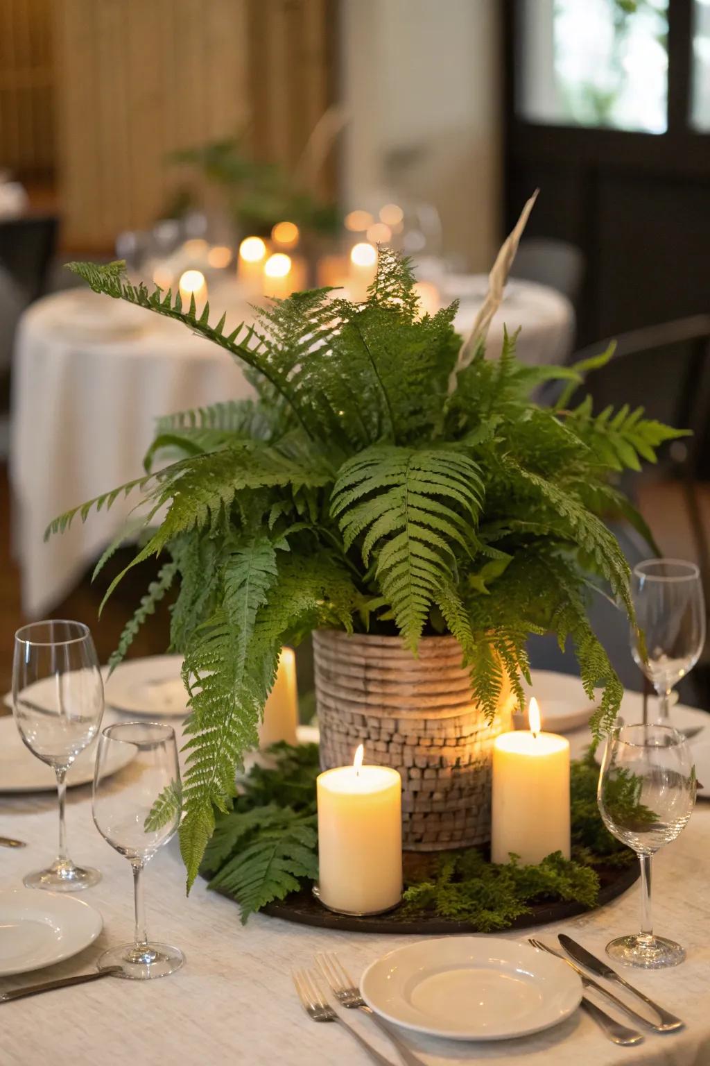 Elevate your dining affair with an awe-inspiring plant centerpiece.