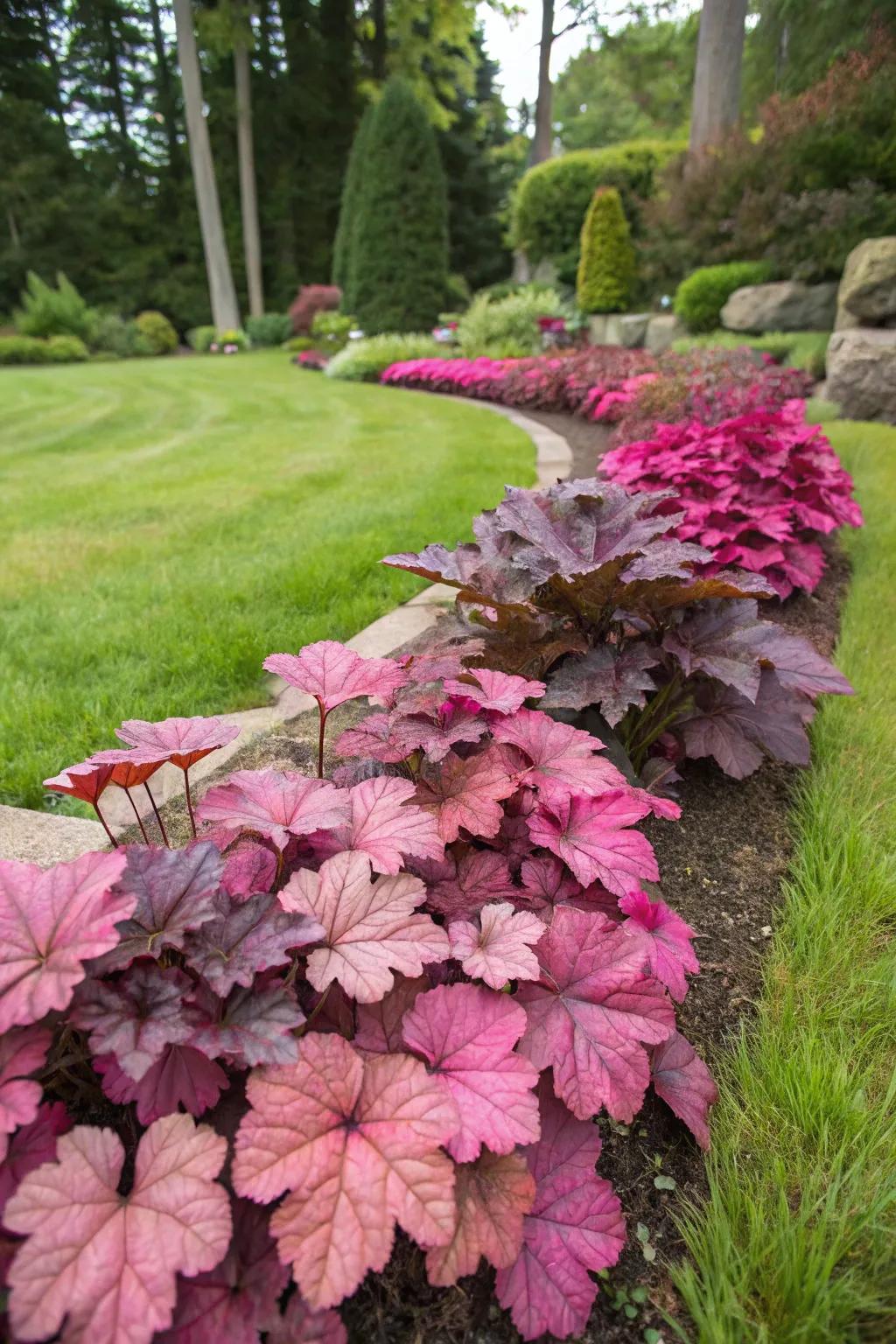 Coral bells serve as a beautiful ground cover in a garden bed.