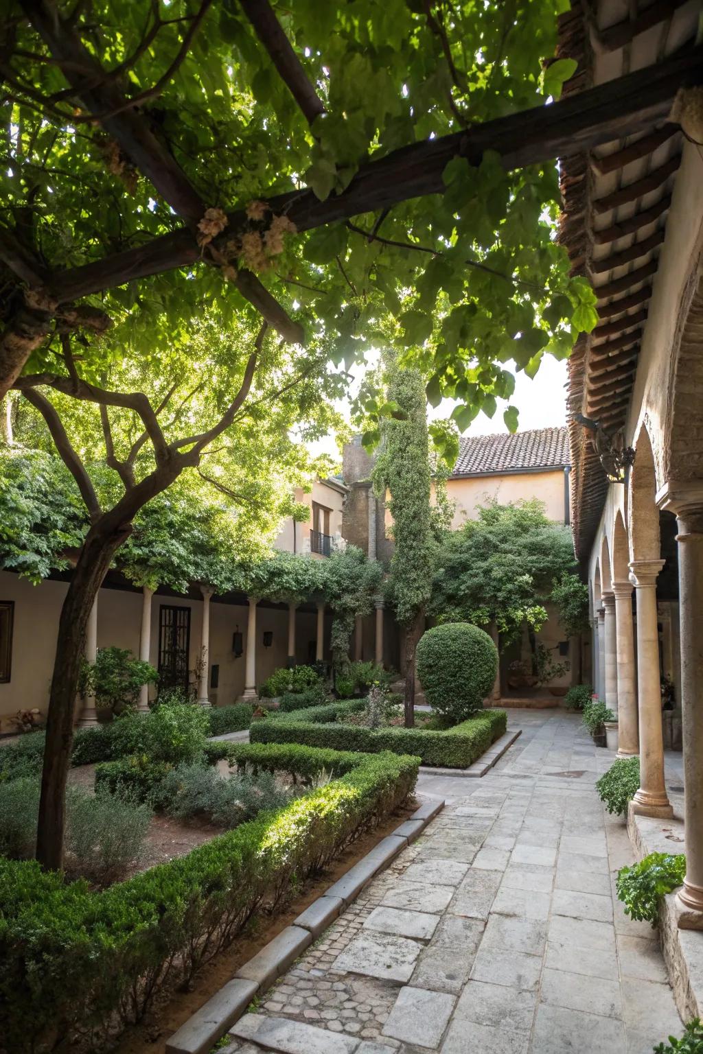 A leafy canopy provides shade and a touch of magic to the courtyard.
