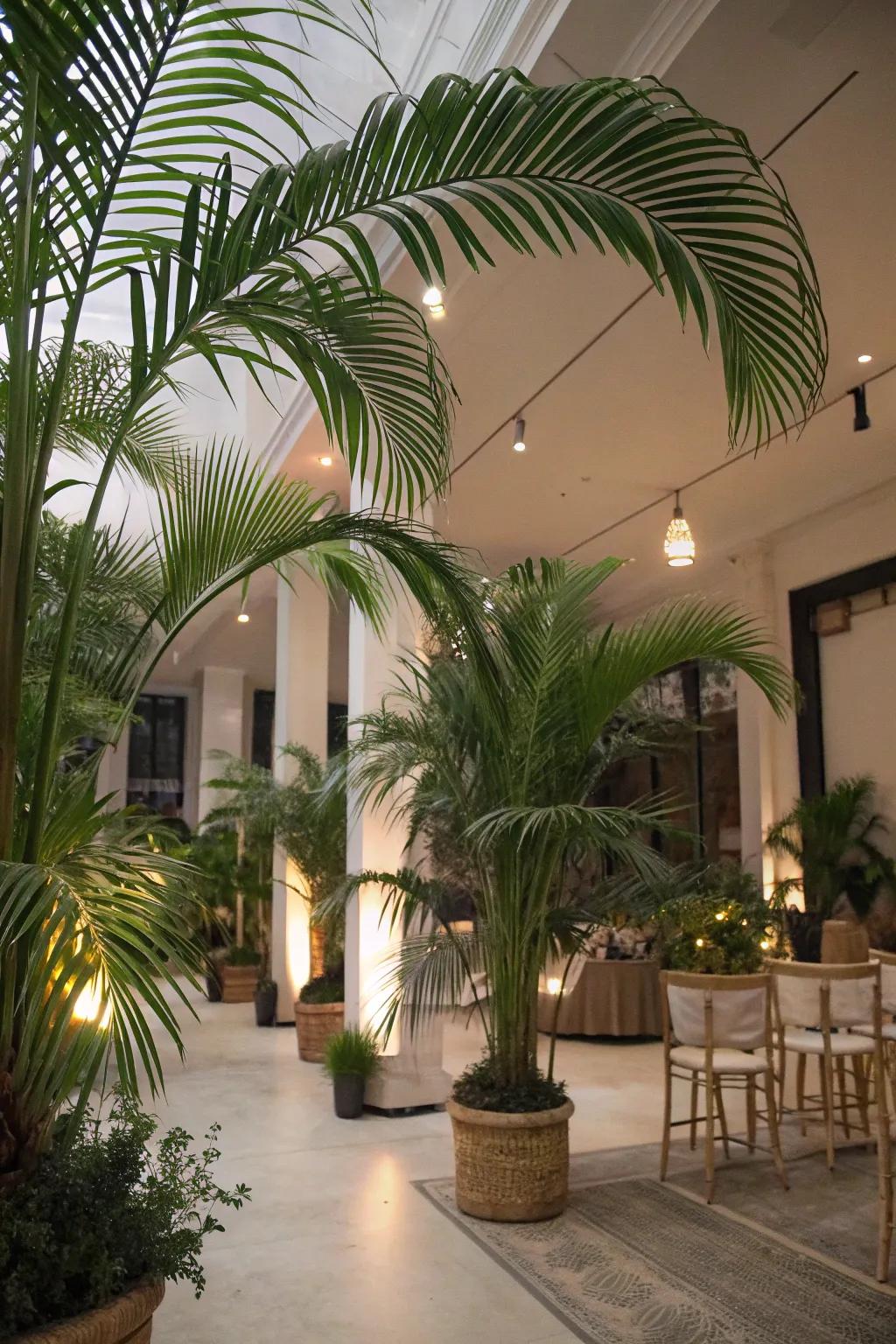Large faux palms add an exotic feel to any interior.