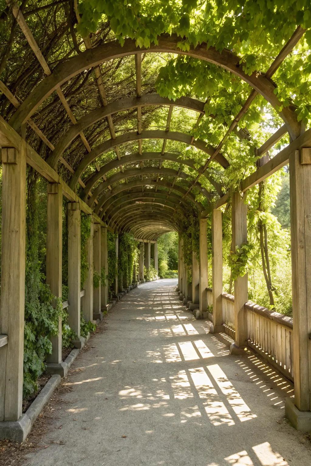 Step into a world of elegance and nature with this stunning pergola-style garden tunnel.
