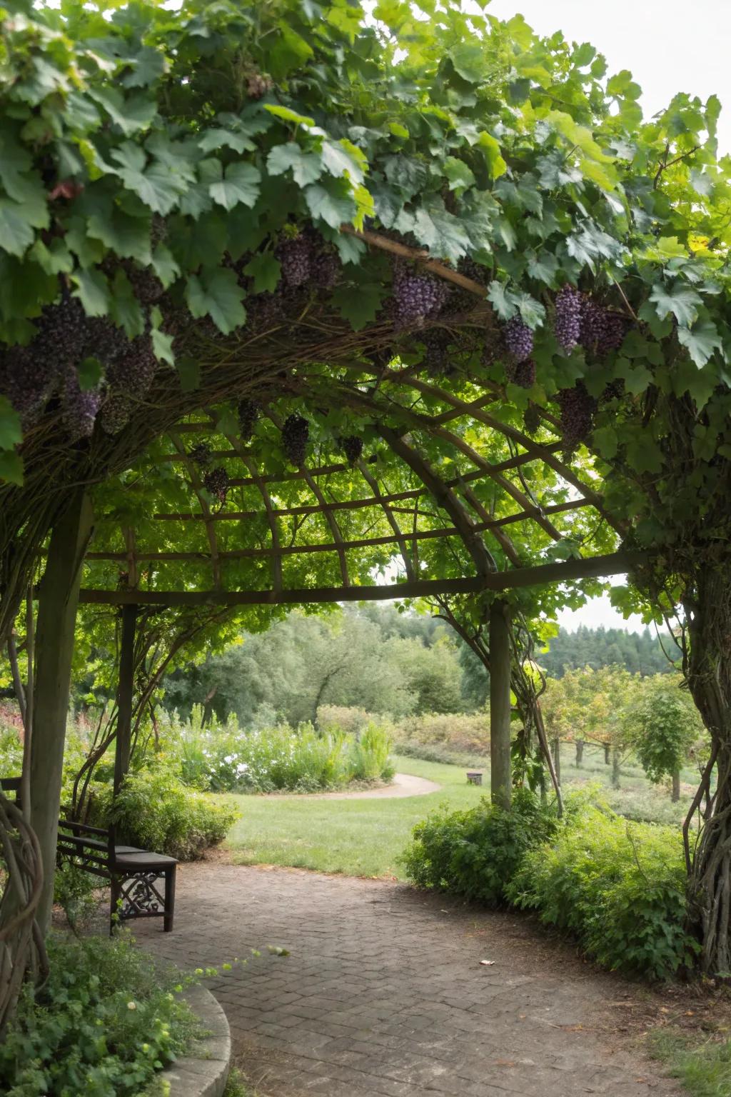 A rounded arbor offers a peaceful, secluded garden escape.