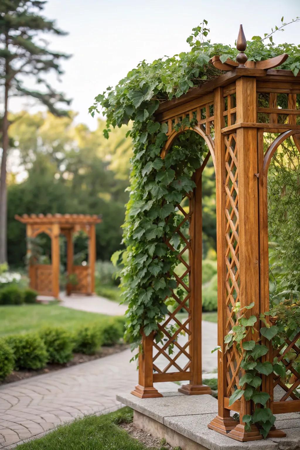 Transform your garden with a stunning trellis hiding unsightly pipes, turning them into a lush, green focal point.