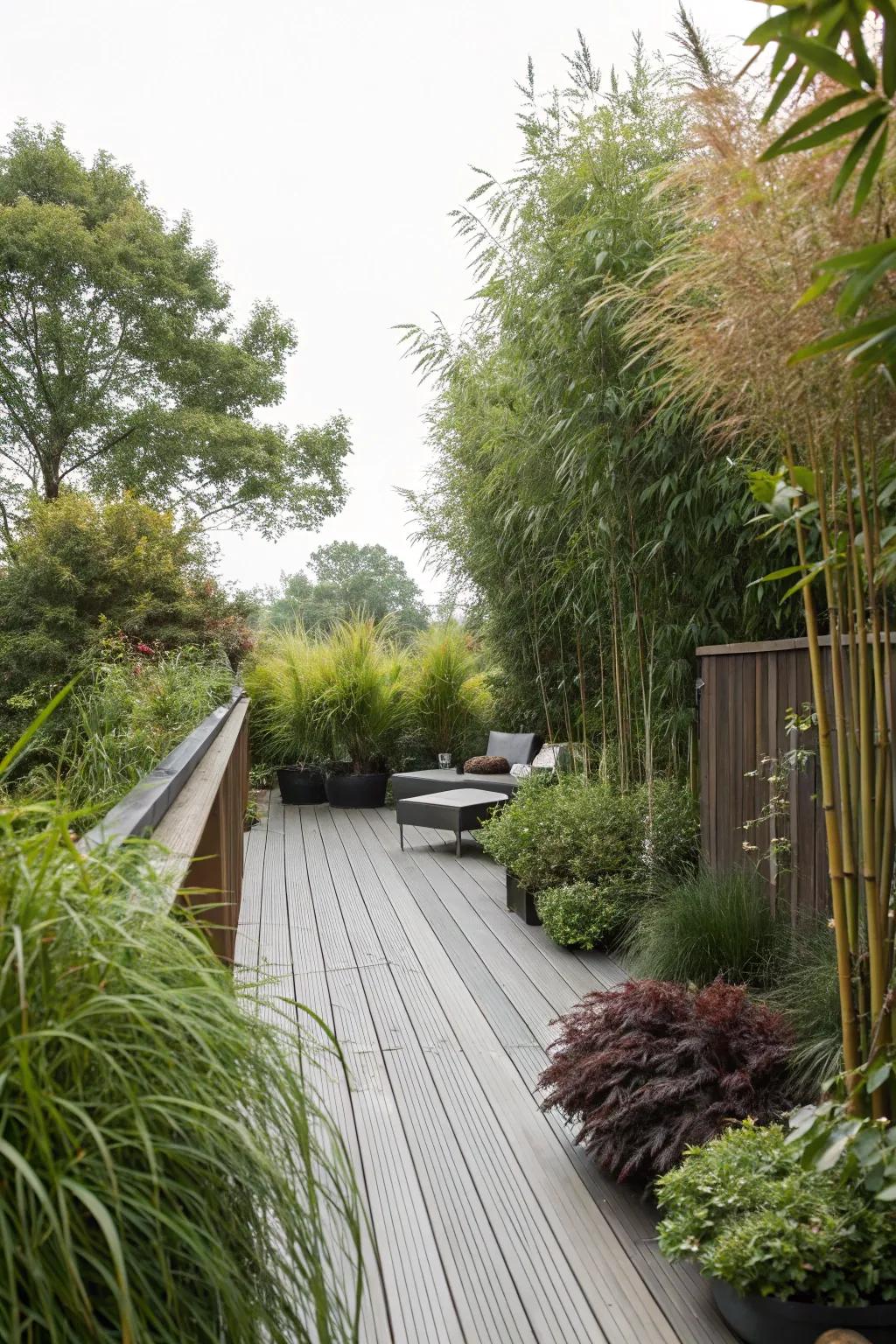 Tall plants offer privacy and enhance the deck's appeal.