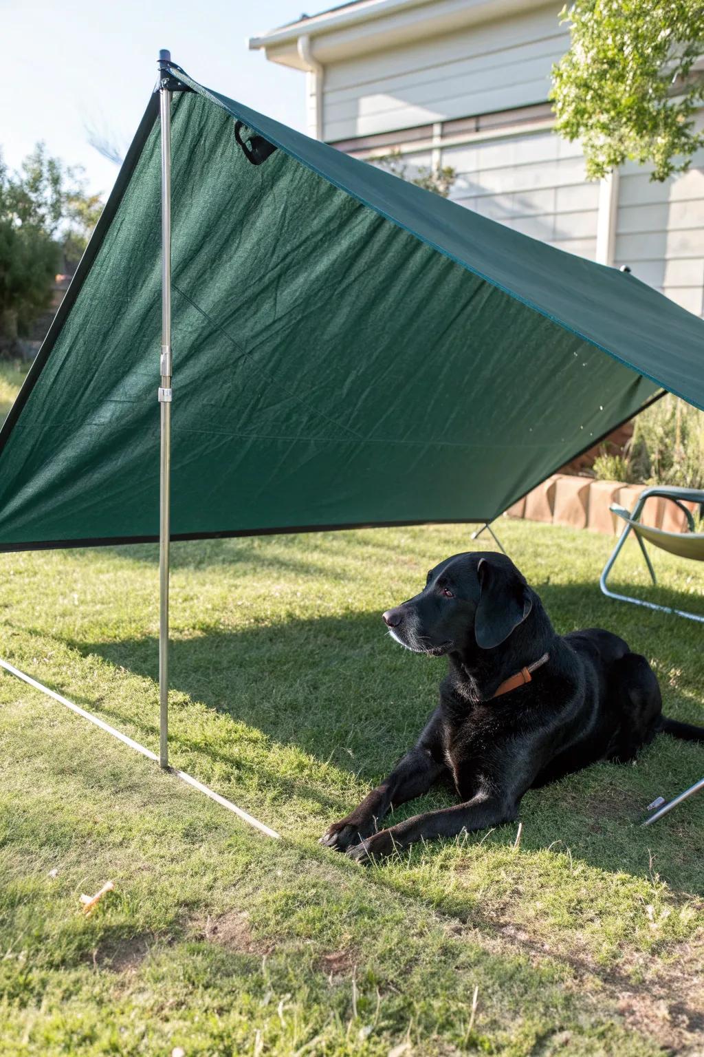 Create the perfect outdoor retreat for your pets with a stylish and functional portable tarp shade.