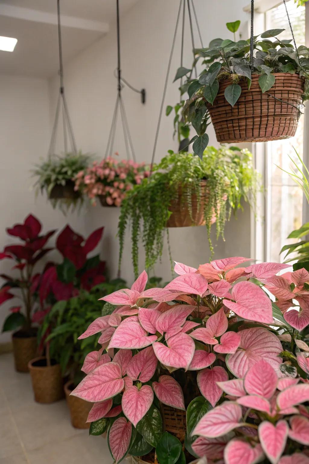 Plants featuring foliage with pink undertones contribute a natural splash of color.