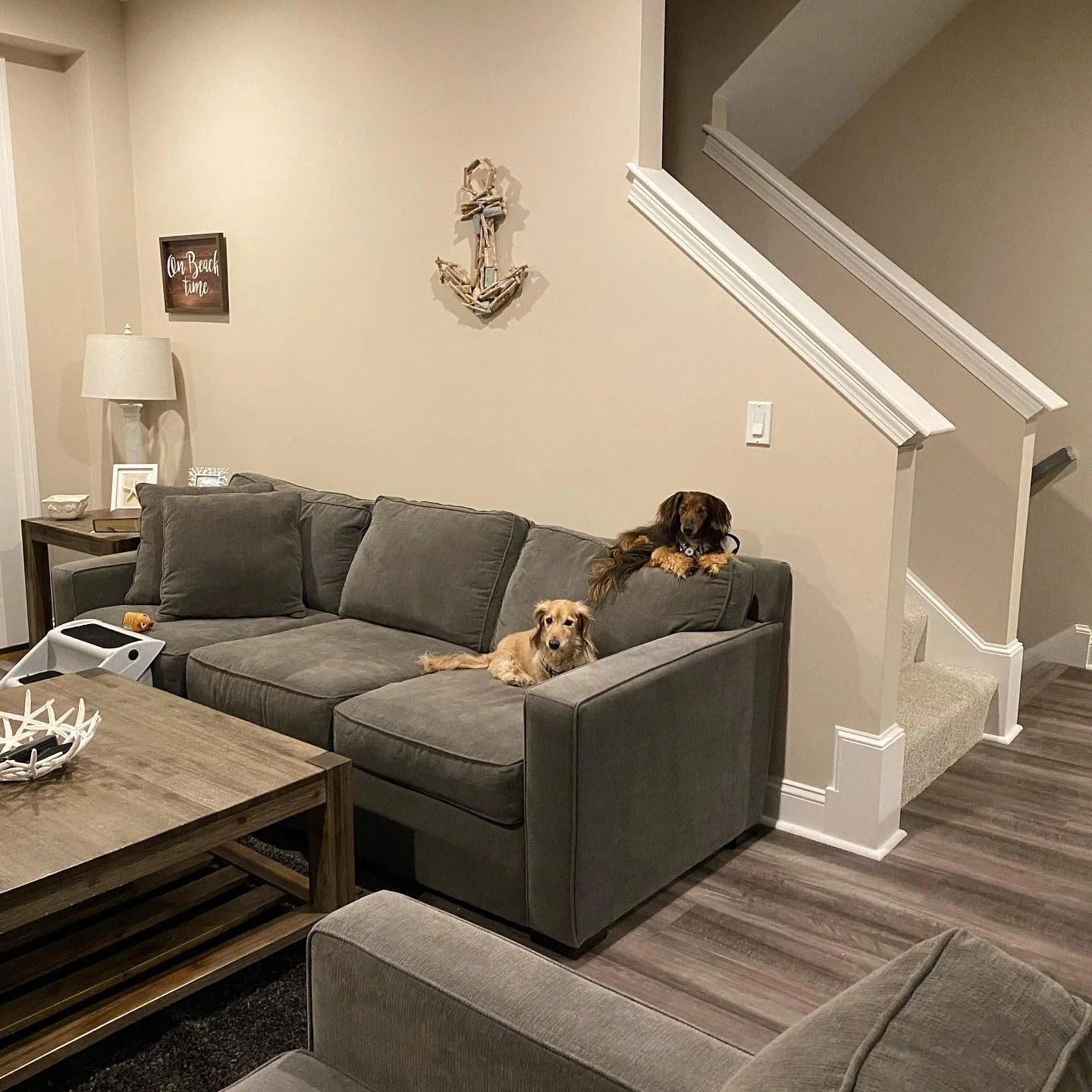 9. Casual Gray Sofa in a Relaxed Family Space (Gray Furniture Living Room Ideas)