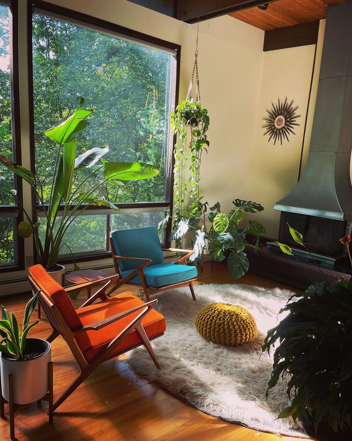 5. Sunlit Jungle Retreat with Teal and Burnt Orange (Jungle Living Room Ideas)