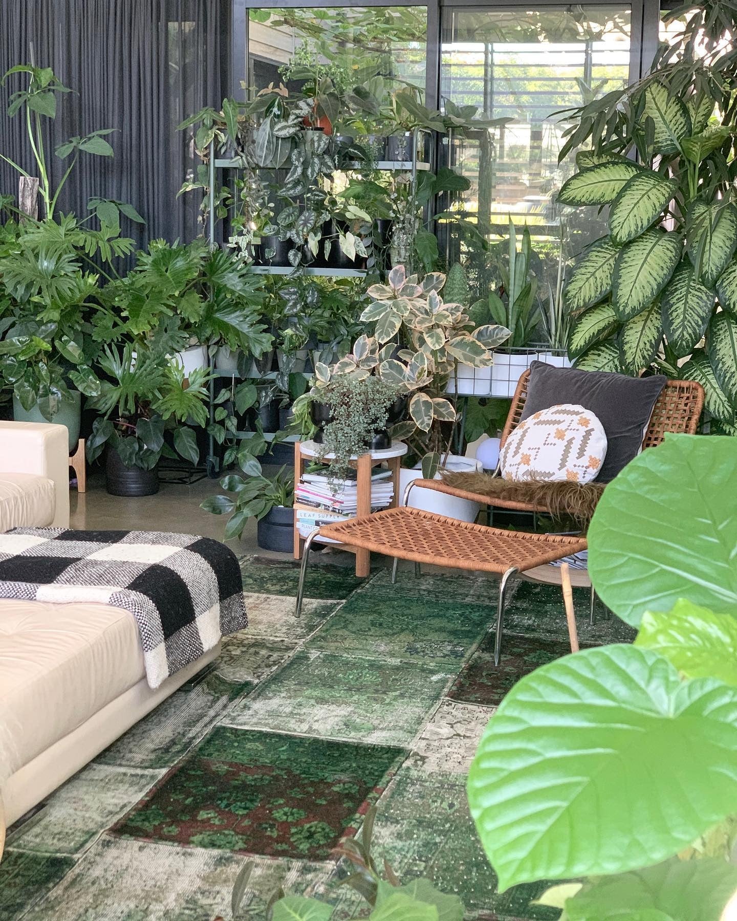 11. Layered Jungle Lounge in Deep Green and Natural Rattan (Jungle Living Room Ideas)