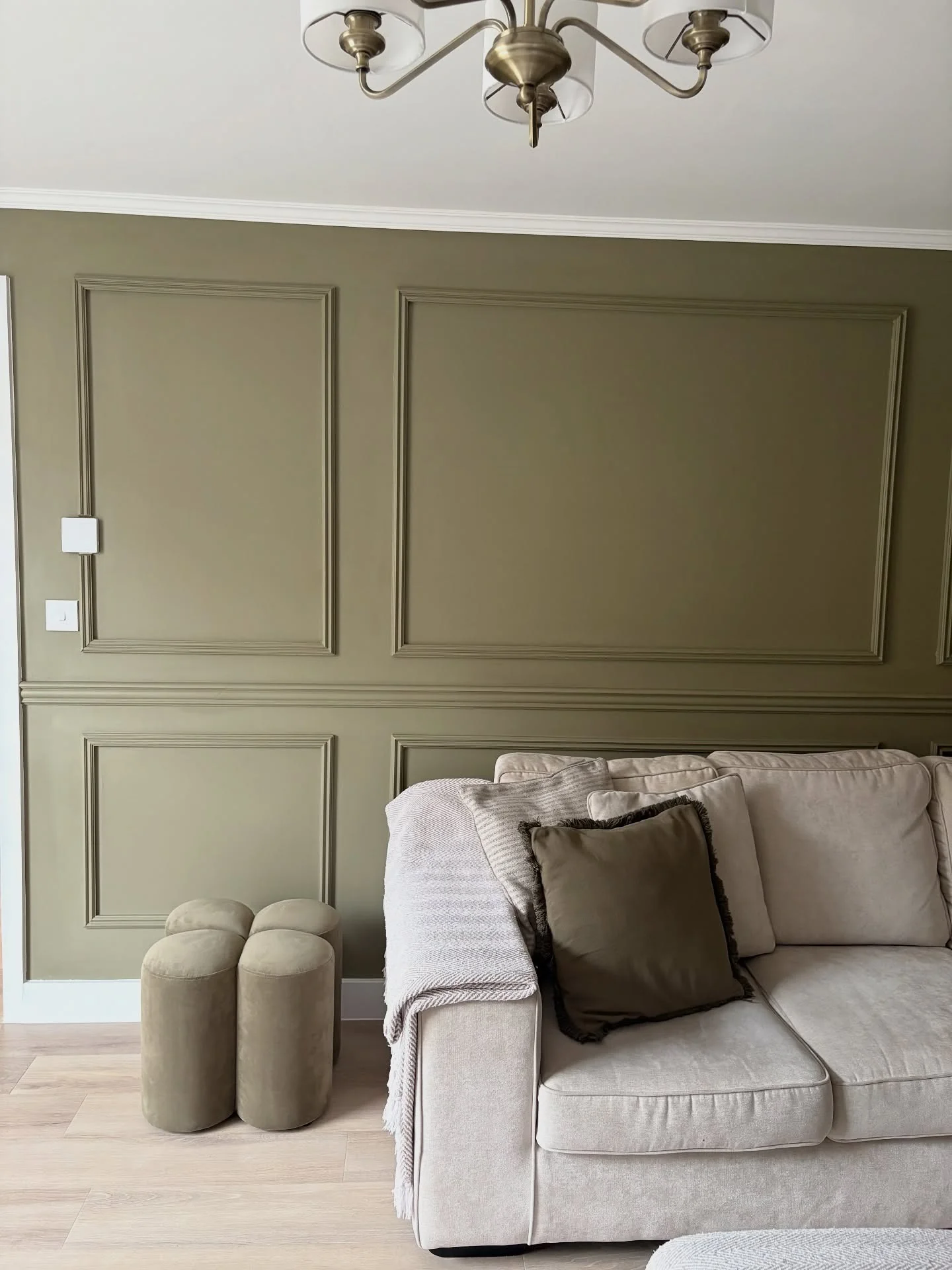 2. Classic Olive Paneling for Timeless Elegance (Empty Wall Ideas for Living Room)