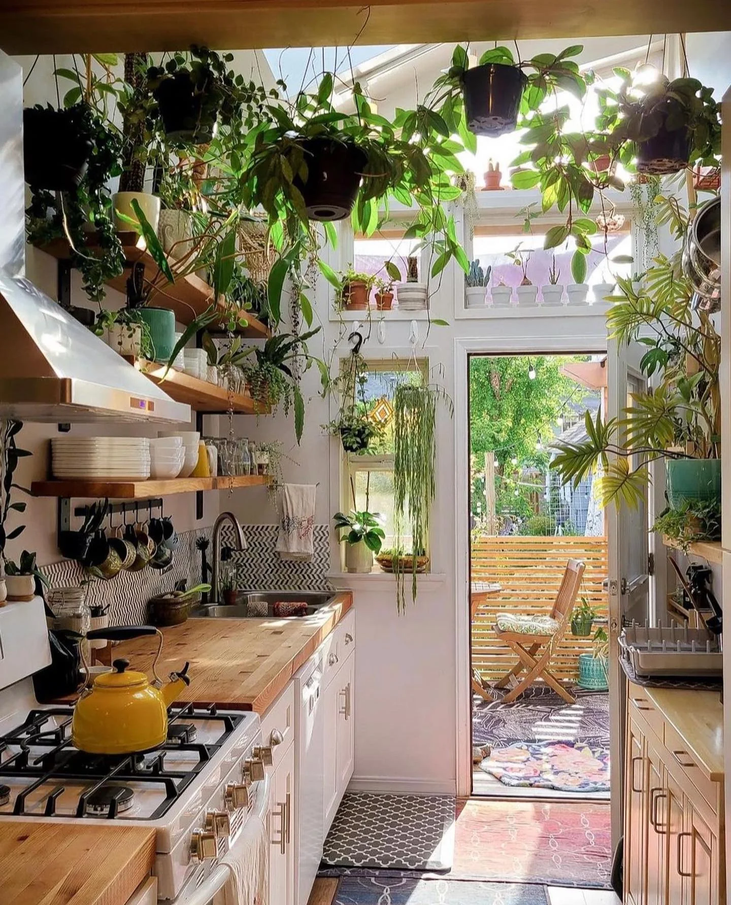 4. Sun-Washed Boho Kitchen with Hanging Plants (Bohemian Kitchen Ideas)