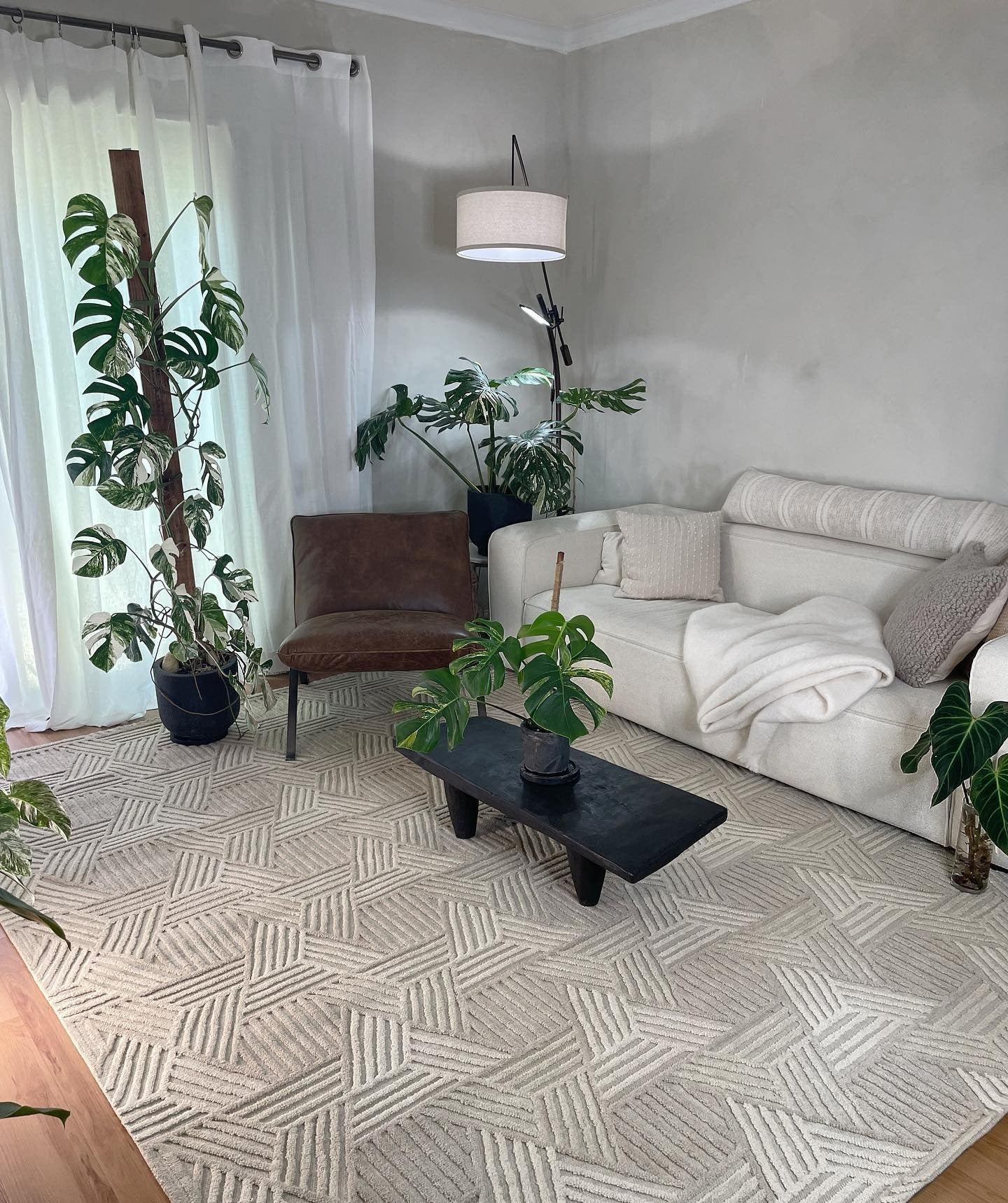 11. Textured Neutral Rug with Indoor Greenery Focus (Living Room Rug Ideas)