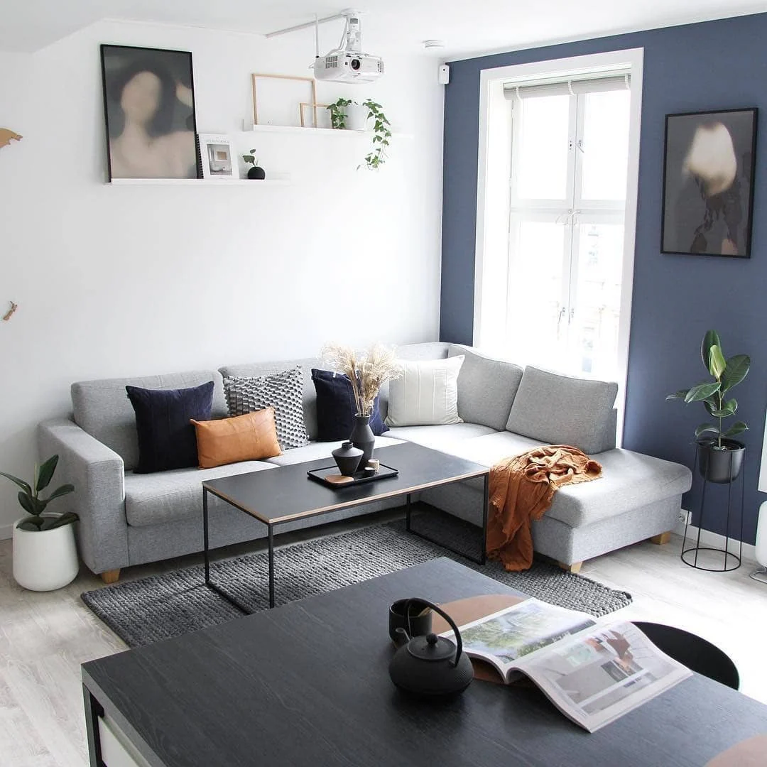 10. Light-Filled Scandinavian Layout with Soft Black Accents (Brown and Black Living Room Ideas)