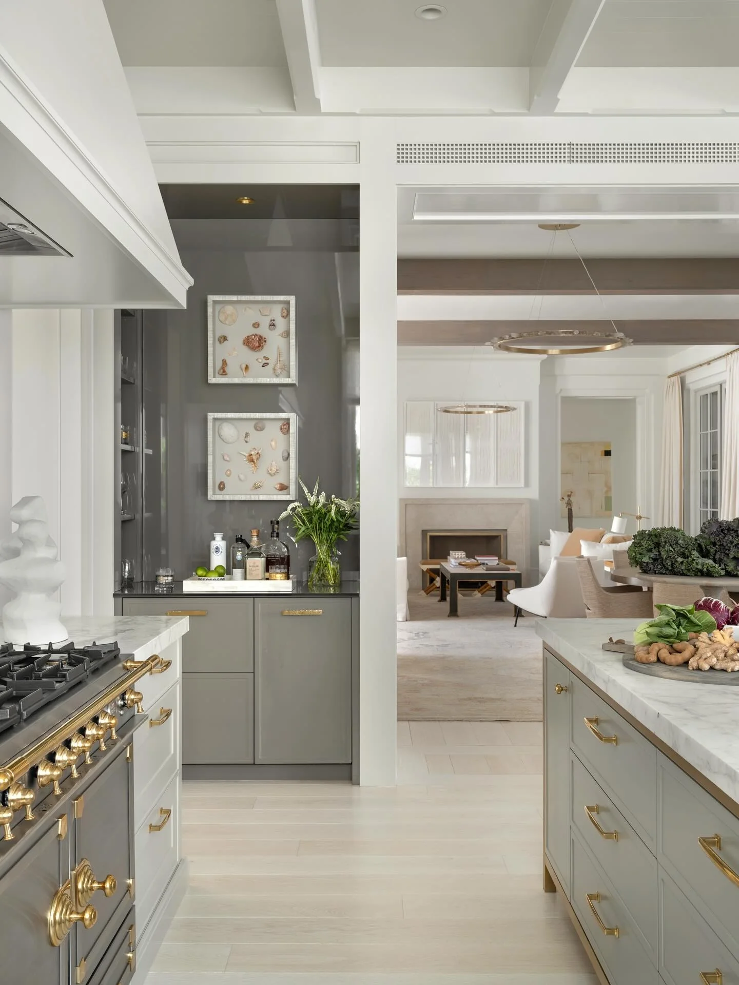 3. Refined Gray with Polished Brass Accents (Earth Tones Kitchen Ideas)