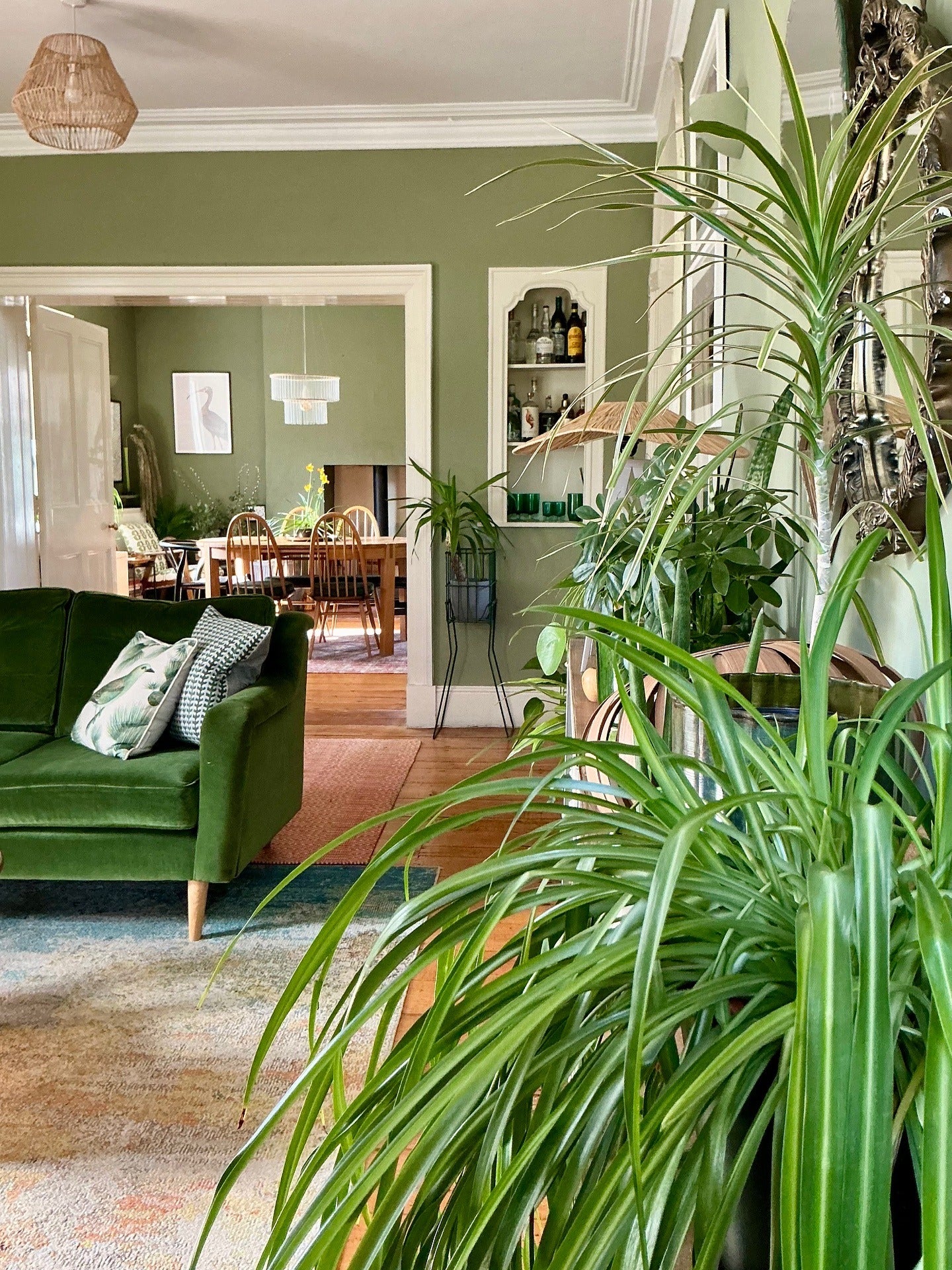 9. Green Harmony with Vintage Sophistication (Living Room Ideas with Indoor Plants)