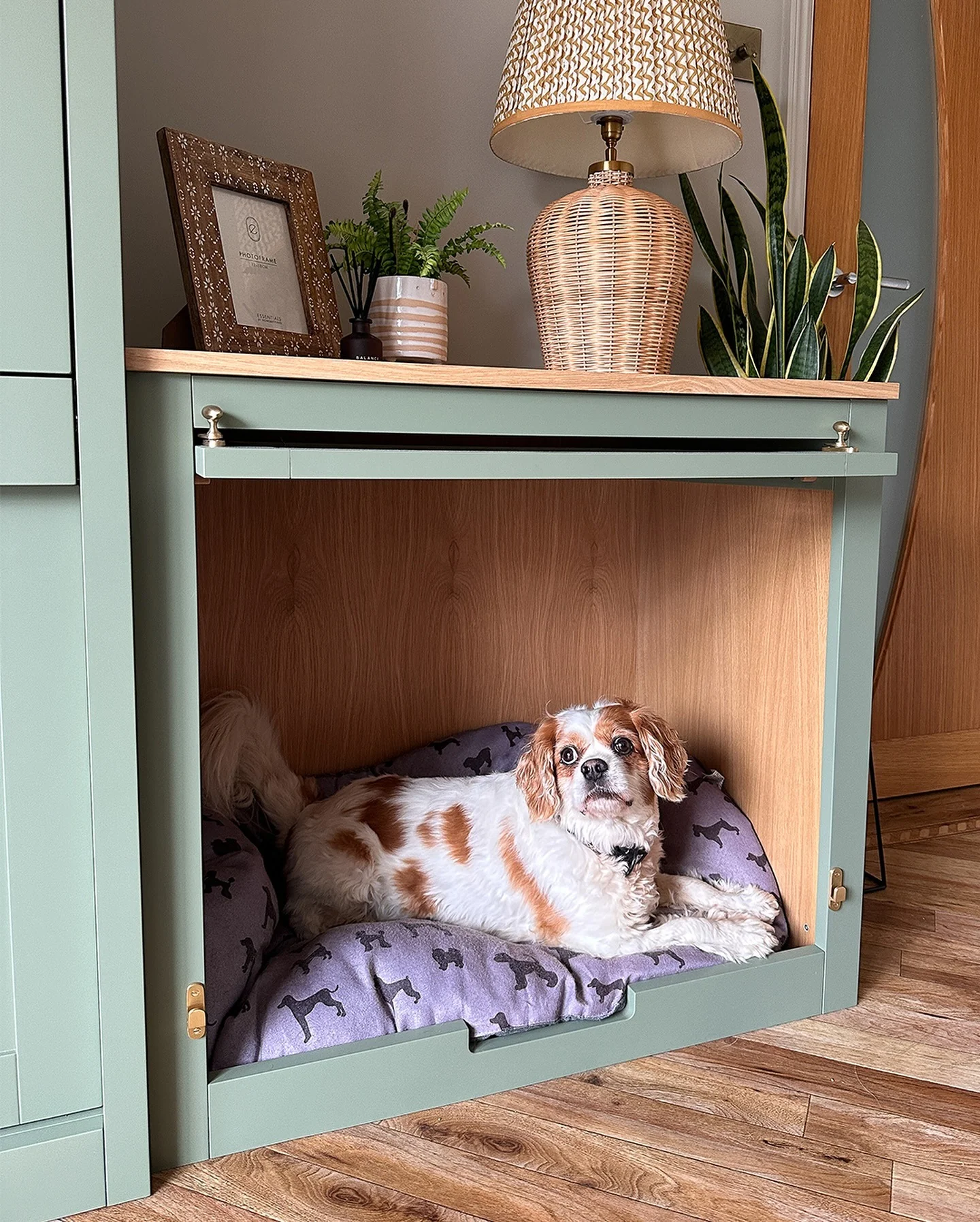 4. Modern Country Cabinet Kennel in Sage and Oak (Dog Bedroom Ideas)