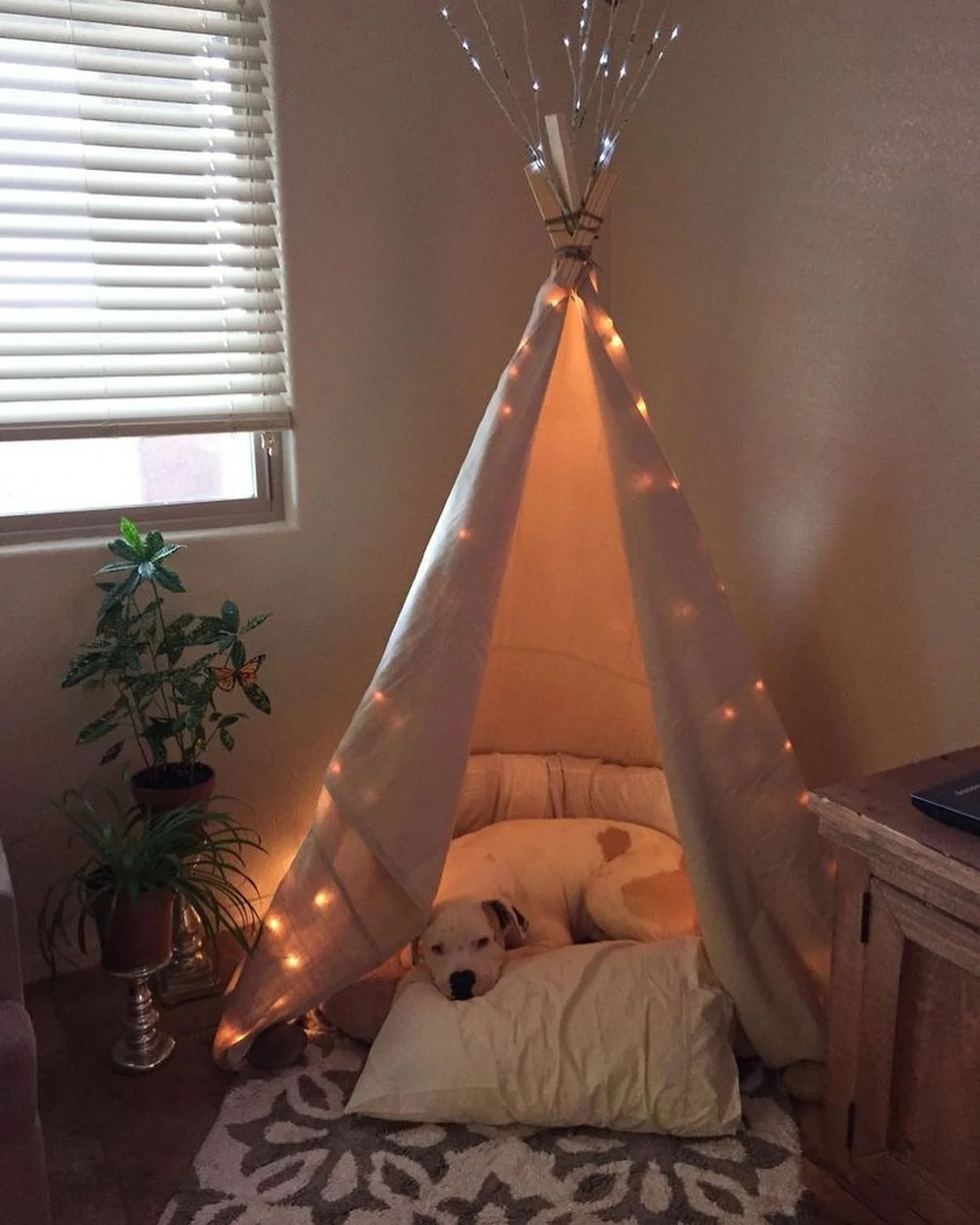 2. Boho Teepee Dog Retreat with Ambient Lighting (Dog Bedroom Ideas)