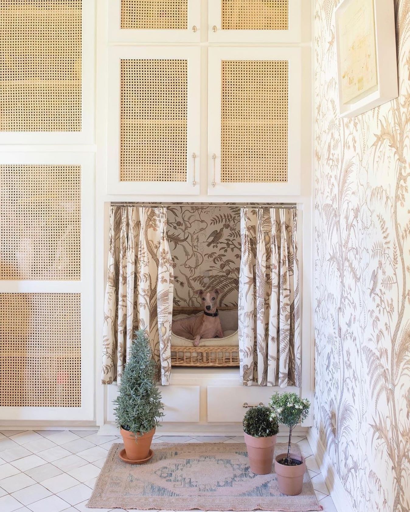 5. Elegant Botanical Dog Alcove in Cream and Taupe (Dog Bedroom Ideas)